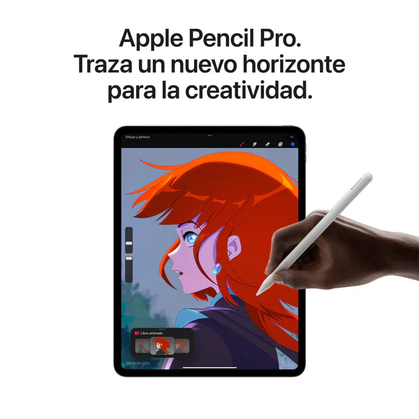 iPad Pro (M4)
