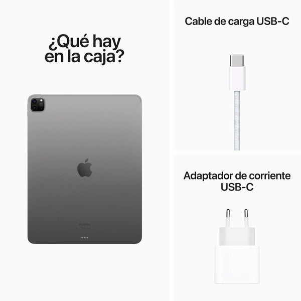 iPad Pro 12,9" (M2)